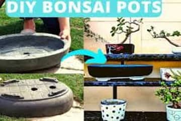 How to Make Diy Bonsai Pots