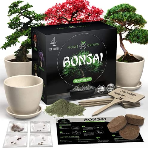 Bonsai Starter Kits