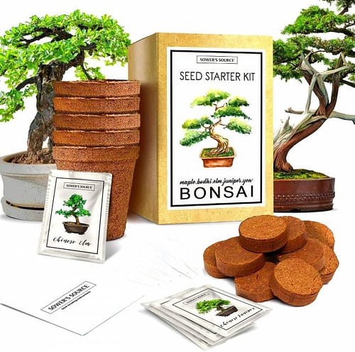 Sowers-Source-Bonsai-Tree-Starter-Kit-Indoor-and-Outdoor-Beginner-Seed-Kit